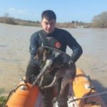 Canlar için Büyükşehir ekiplerinin özverili çabası