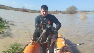 Canlar için Büyükşehir ekiplerinin özverili çabası