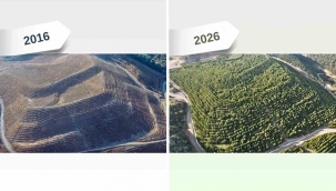 Maden sahaları rehabilitasyonla yeniden yeşeriyor